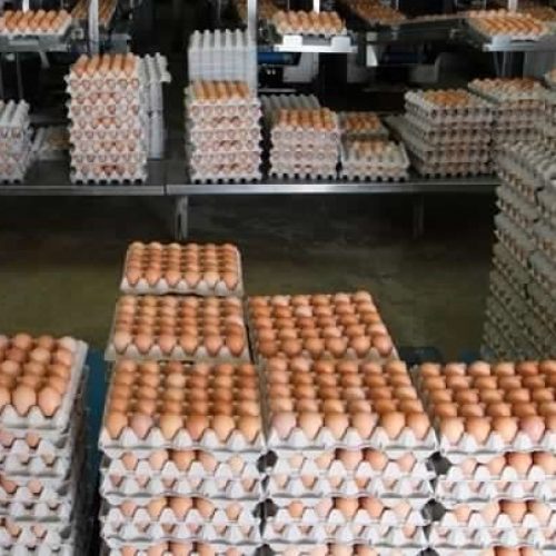 Farm-Fresh-Brown-and-White-Table-chicken